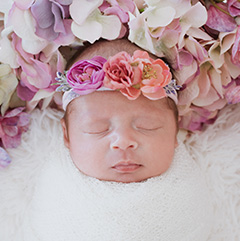 Studio Newborn Photography