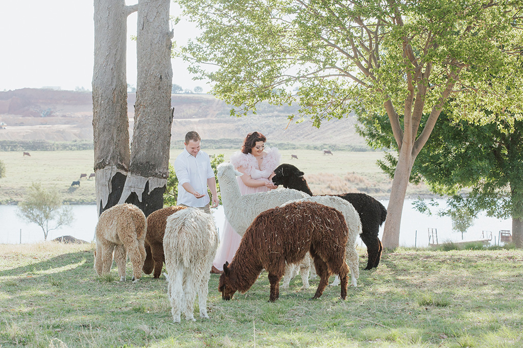 Lewis family farm maternity photoshoot 19