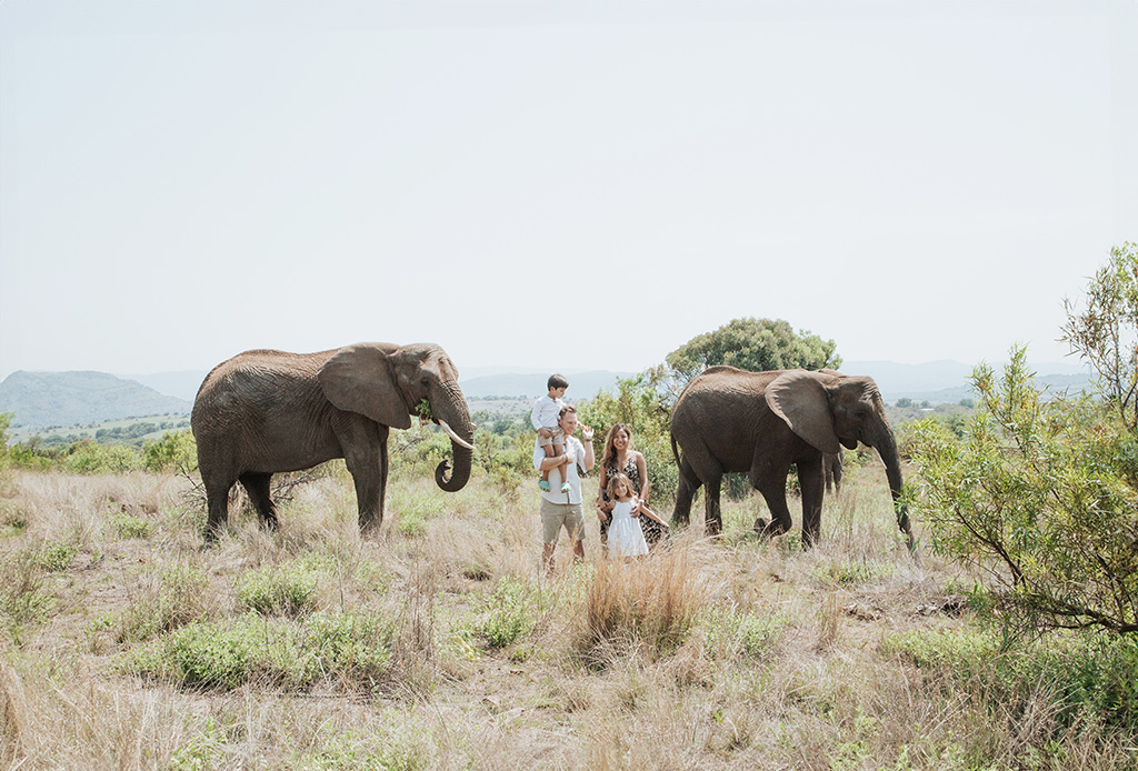 South Africa Elephant Photoshoot 10