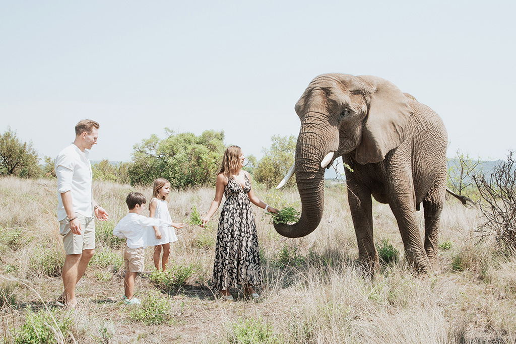 South Africa Elephant Photoshoot 12