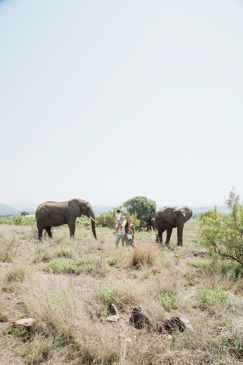 South Africa Elephant Photoshoot 14