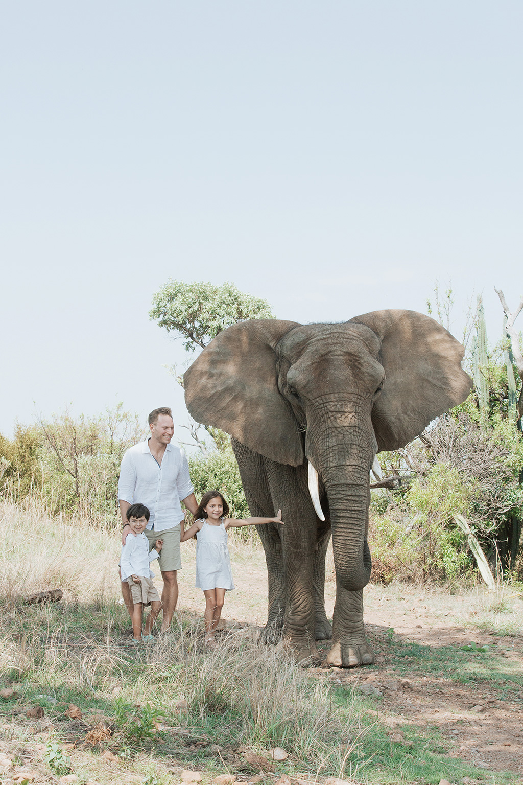South Africa Elephant Photoshoot 19