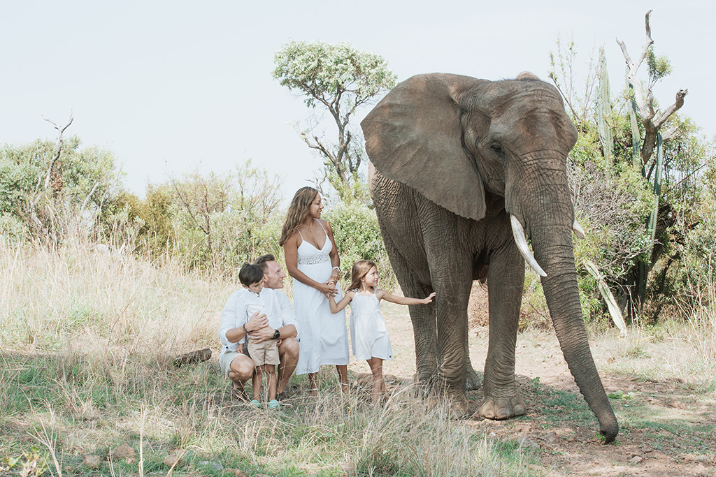South Africa Elephant Photoshoot 20