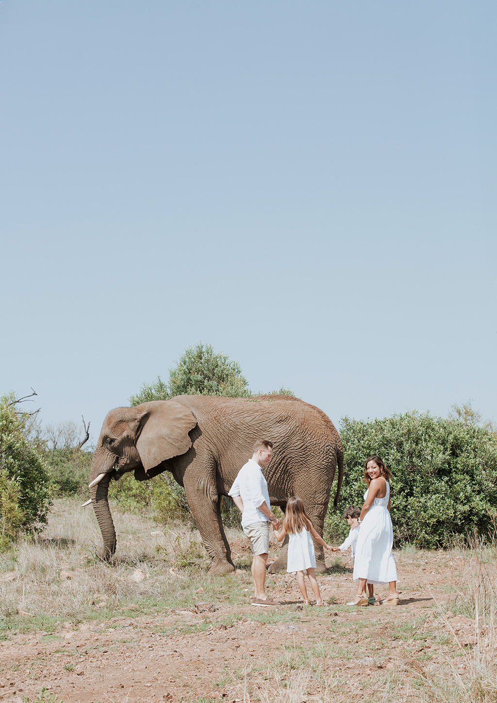 South Africa Elephant Photoshoot 24