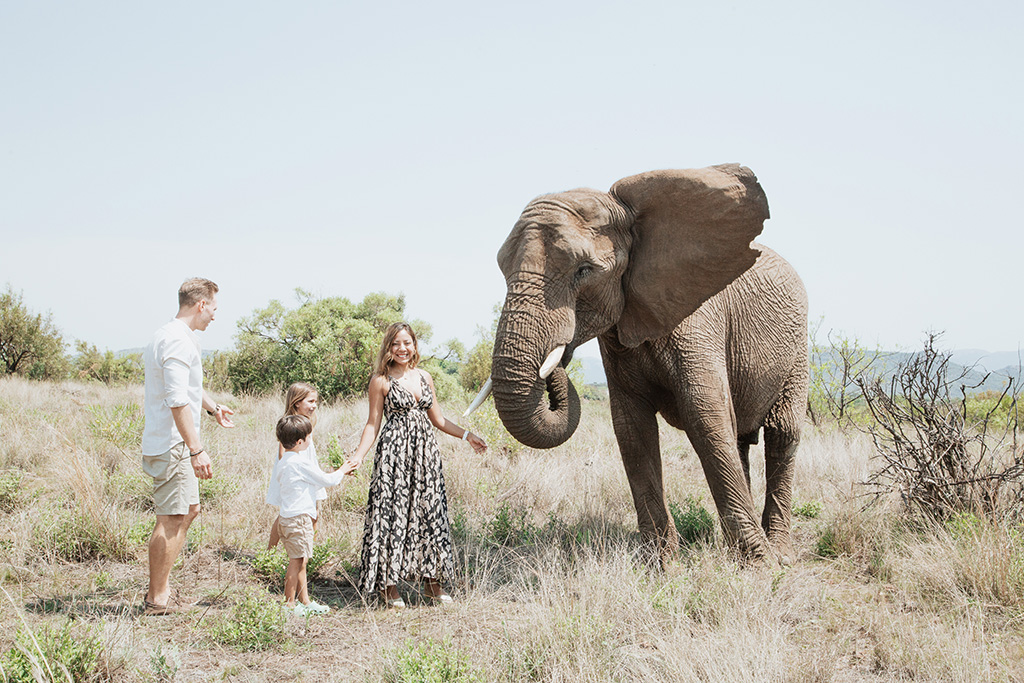 South Africa Elephant Photoshoot 25