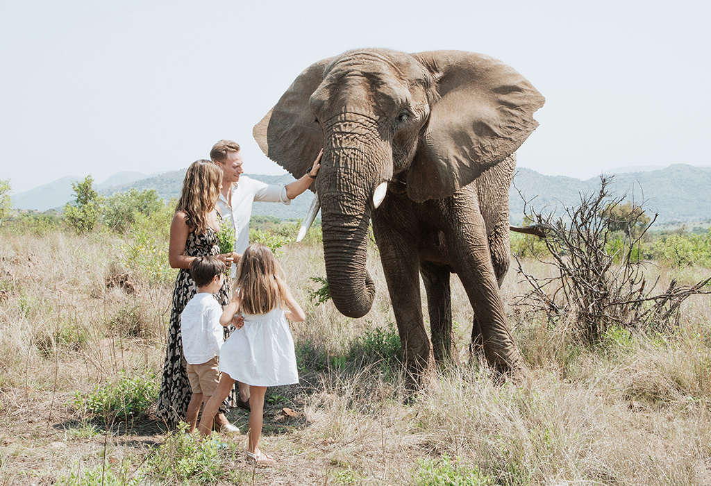 South Africa Elephant Photoshoot 26