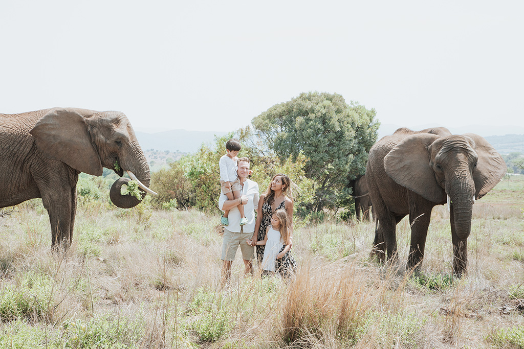South Africa Elephant Photoshoot 29
