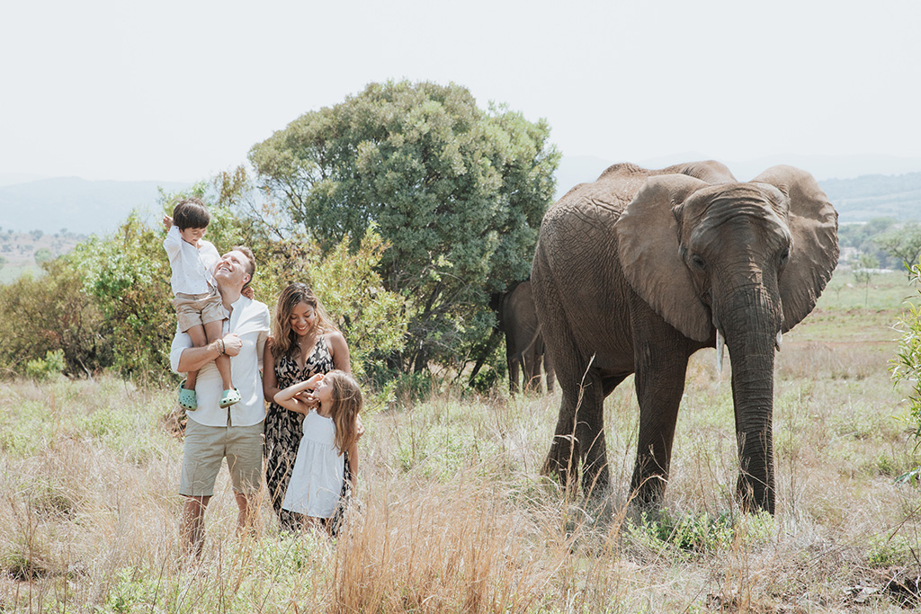 South Africa Elephant Photoshoot 34