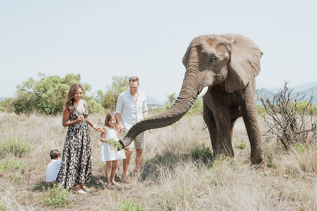 South Africa Elephant Photoshoot 35