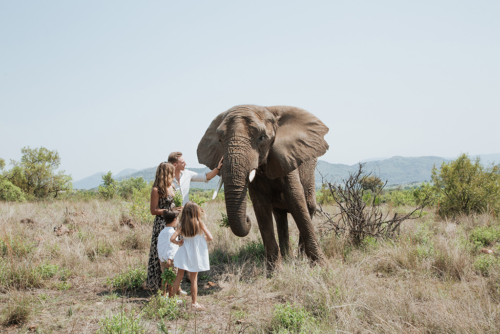 South Africa Elephant Photoshoot 37