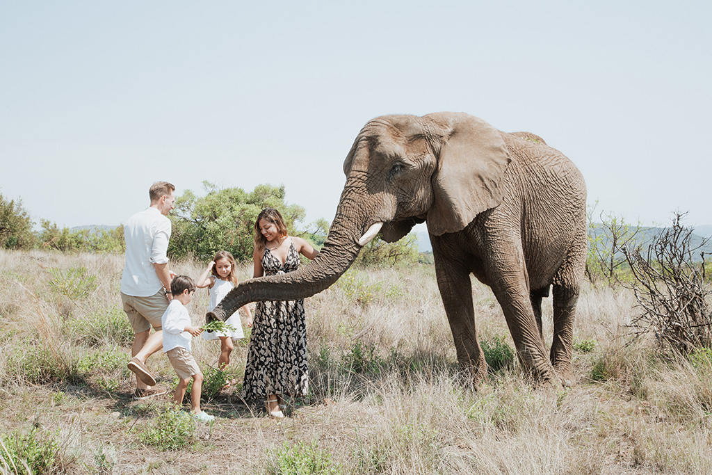 South Africa Elephant Photoshoot 38
