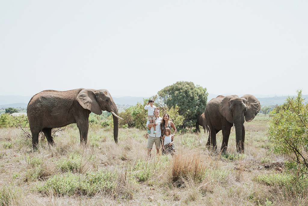 South Africa Elephant Photoshoot 40