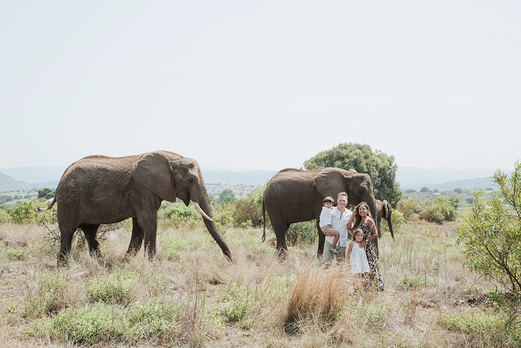 South Africa Elephant Photoshoot 43