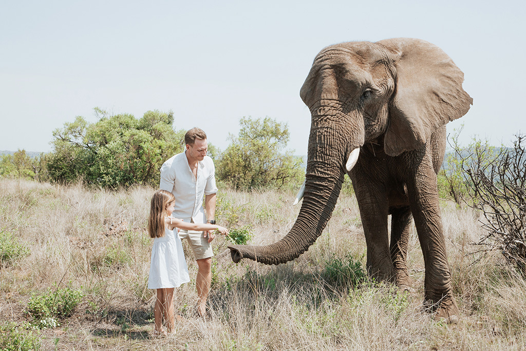 South Africa Elephant Photoshoot 44
