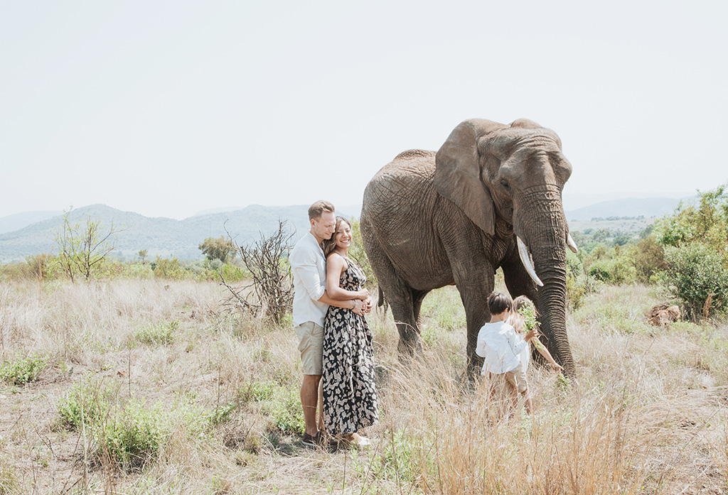 South Africa Elephant Photoshoot 45